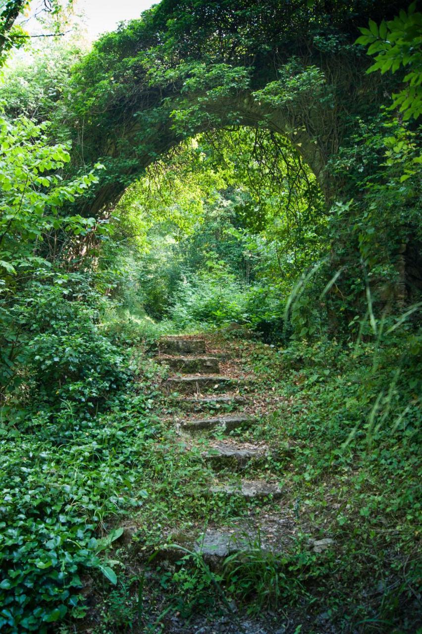 Secret Gardens Acomodação com café da manhã Borgomaro Exterior foto